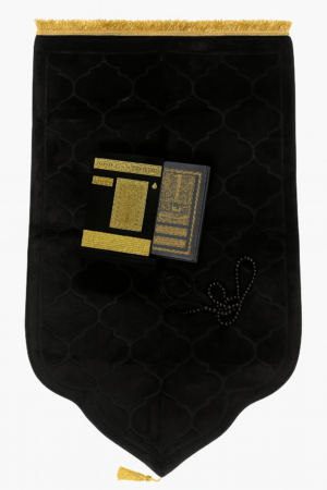 pack sofian gold